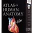 Netter atlas of human anatomy
