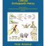 Concise Orthopaedic Notes Revision Aid for FRCS EBOT SICOT and Board Examinations