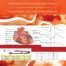 Basic Cardiovascular Physiology From Molecules to Translational Medical Science