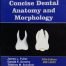 Concise Dental Anatomy and Morphology 5th Edition