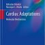 Cardiac Adaptations Molecular Mechanisms