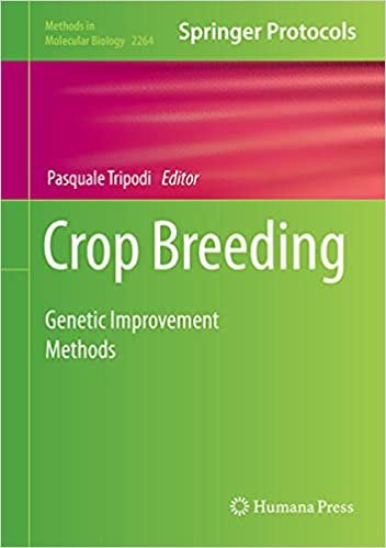 Crop Breeding Genetic Improvement Methods
