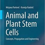Animal and Plant Stem Cells Concepts Propagation and Engineering