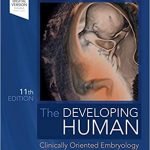 The Developing Human Clinically Oriented Embryology 11th Ed