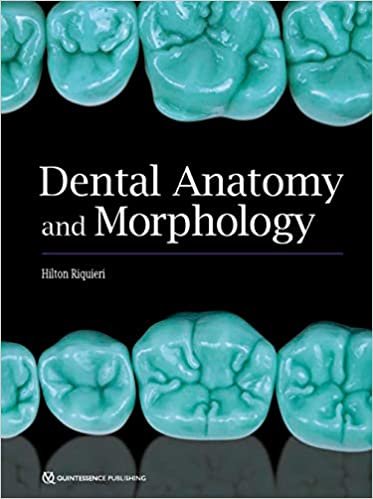 Dental Anatomy and Morphology