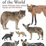 Canids of the World Wolves Wild Dogs Foxes Jackals Coyotes and Their Relatives
