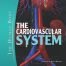 The Cardiovascular System