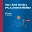 Heart Rate Slowing by If Current Inhibition