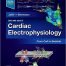 Cardiac Electrophysiology From Cell to Bedside 8th Ed