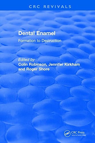 Dental Enamel Formation To Destruction
