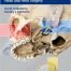 Handbook of Otolaryngology: Head and Neck Surgery 1st Edition