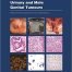 Urinary and Male Genital Tumours (WHO Classification of Tumours, 8) 5th Edition