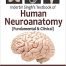 Inderbir Singh's Textbook of Human Neuroanatomy: (Fundamental & Clinical) 10th Edition