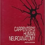 Carpenter's Human Neuroanatomy Hardcover