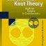 High-dimensional Knot Theory: Algebraic Surgery in Codimension 2