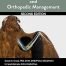 Avian Surgical Anatomy And Orthopedic Management 2nd edition