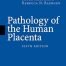 Pathology of the Human Placenta Fifth Edition