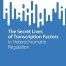 The Secret Lives of Transcription Factors: In Heterochromatin Regulation (SpringerBriefs in Biochemistry and Molecular Biology)