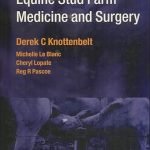 Equine Stud Farm Medicine and Surgery
